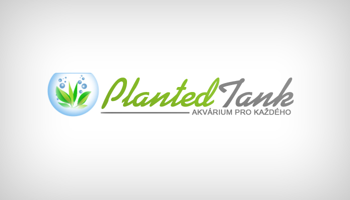 plantedtank_new_v3